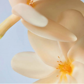 Yves Rocher Gommage-en-huile Monoï 150 ml