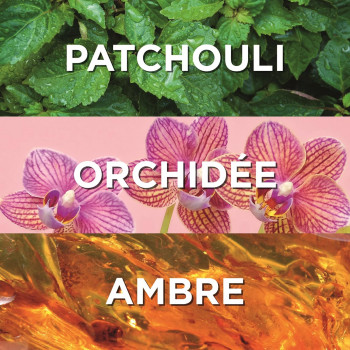 EAU JEUNE Coffret Rebelle Chic, Eau de Toilette 75 ml avec Déodorant 150 ml