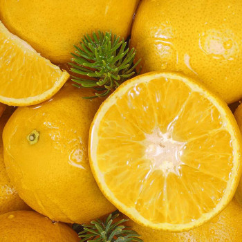 Yves Rocher Kit Routine Mandarine Aiguilles de Pin ( 3 Produits )