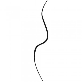 BOURJOIS LINER FEUTRE SLIM - 16 BLACK -